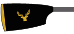 Blade of Lambton Rowing Club: Black blade with a gold edge and a golden stag in the middle of the blade.